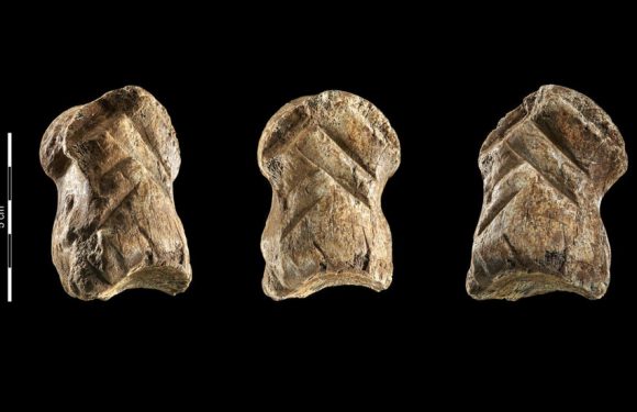 Is It Art? You May Have to Ask a Neanderthal Critic.