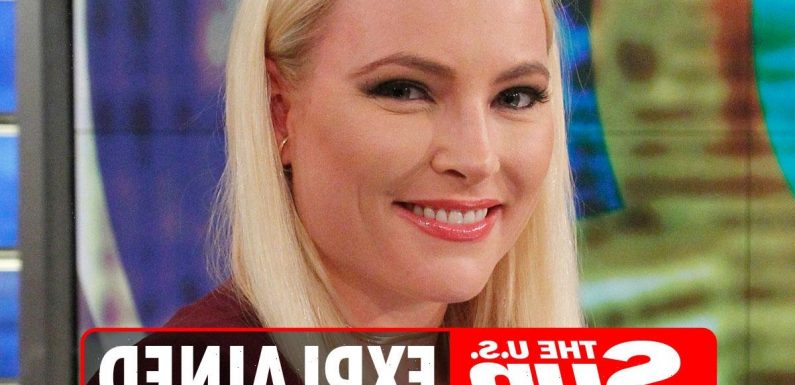 Is Meghan McCain leaving The View?