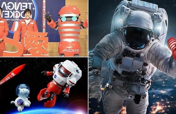 Japanese firm to launch a sex toy into space this summer for research