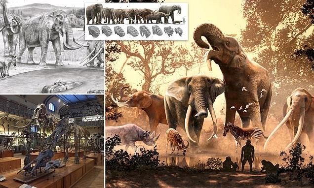 Mammoths and mastodons 'were pushed to extinction by climate change'