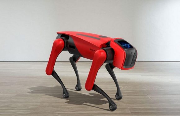 Meet Alphadog – the smart robot of the future that doesn’t chew the sofa