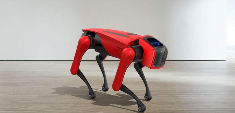 Meet Alphadog – the smart robot of the future that doesn’t chew the sofa