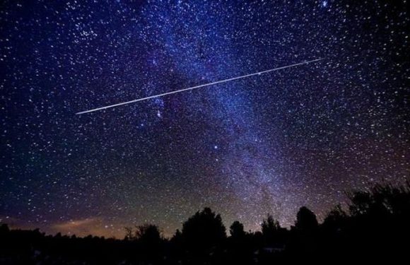 Meteor shower tonight: ‘Exciting fireballs’ to light up the night on Delta Aquariids peak