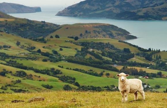 New Zealand is rated as the best place to survive a global collapse