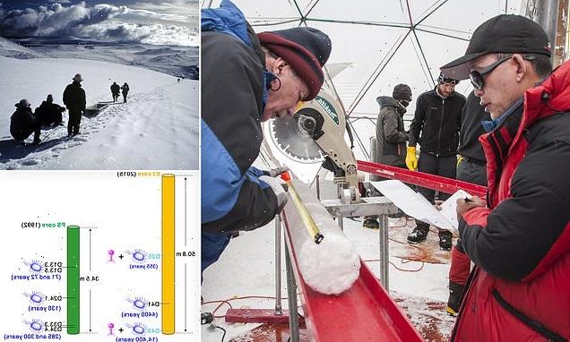 Novel viruses found in 15,000-year-old ice from a Tibetan glacier