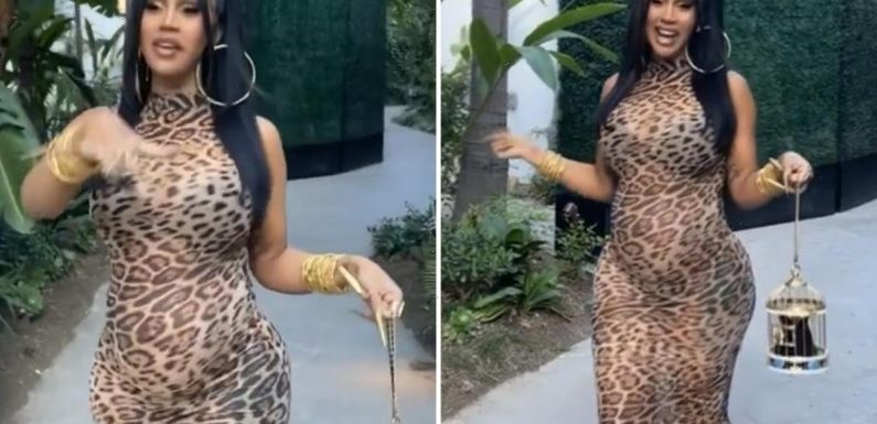 Pregnant Cardi B shows off baby bump in sexy see-through leopard dress before chowing down on burgers & mac & cheese
