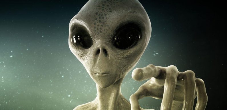 Ram-raiding aliens mutilating and slaughtering sheep, UFO hunters claim