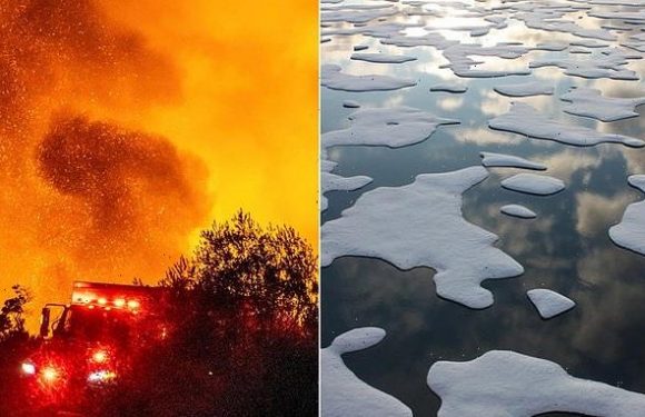 Scientists fear climate change may have reached the point of no return