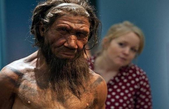 Sex with humans 'caused anaemia that helped to kill off Neanderthals'