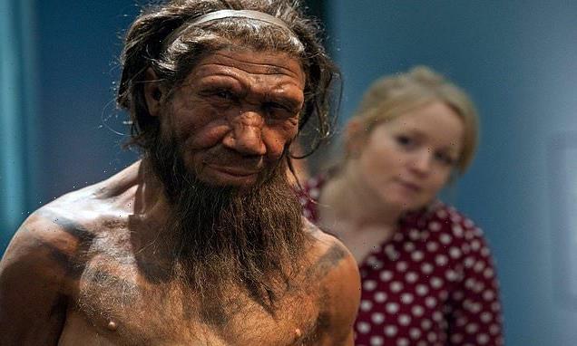 Sex with humans 'caused anaemia that helped to kill off Neanderthals'