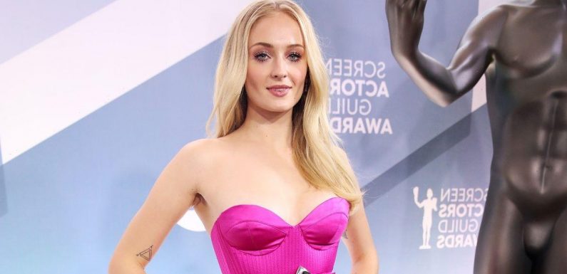 Sophie Turner ‘hypocrite’ for royal cartoon after privacy demands for daughter