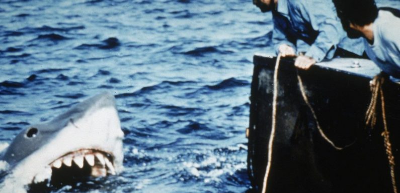 Steven Spielberg Was Too Traumatized to Work on 'Jaws' Sequels