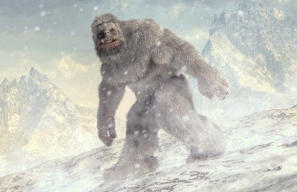 Terrified couple claimed white-haired ‘Bigfoot’ tried to break into their car