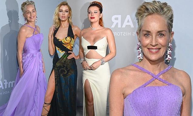 The stars step out for the 27th amfAR Gala during Cannes Film Festival