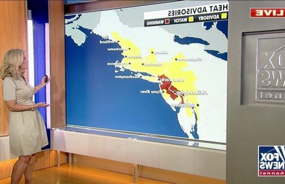 Tropical Storm Elsa may form Thursday, barrel through Caribbean, forecasters say