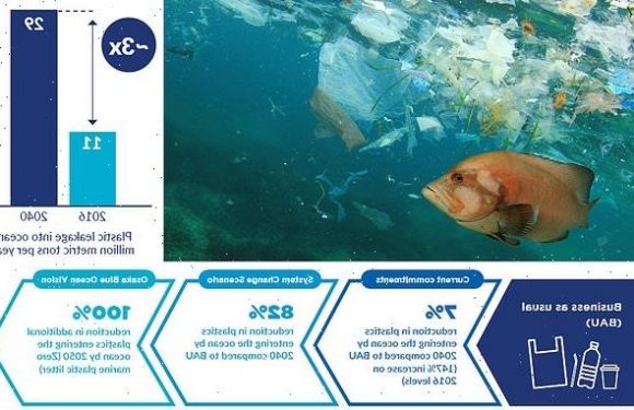 UN sets out ambitious plans to stop marine plastic pollution by 2050