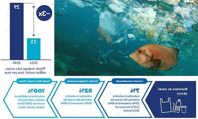 UN sets out ambitious plans to stop marine plastic pollution by 2050