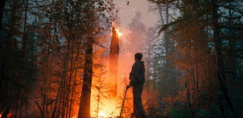 Volunteers pitch in to fight Russia’s raging forest fires