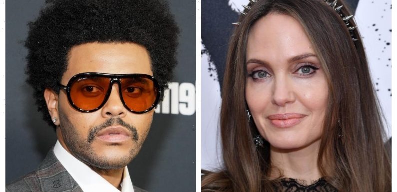 What Is Angelina Jolie and the Weeknd's Age Difference?