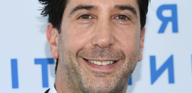 Why Was David Schwimmer Just Branded As Jealous And Despicable?