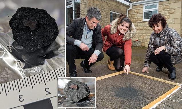 Winchcombe meteorite has its classification formally accepted