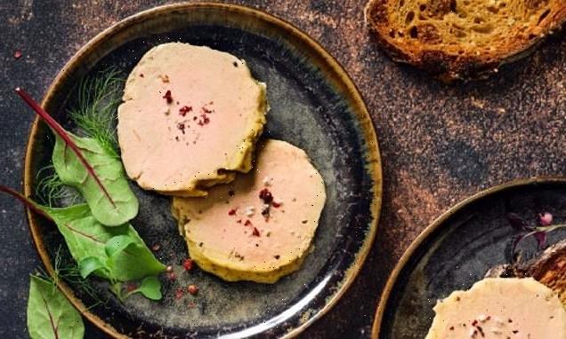 World's first lab-grown FOIE GRAS is created from duck stem cells