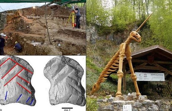 World's oldest ORNAMENT is discovered in Germany