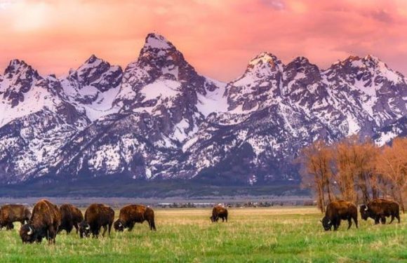 Yellowstone thermometers spike to highest temperatures in 800,000 years – climate report