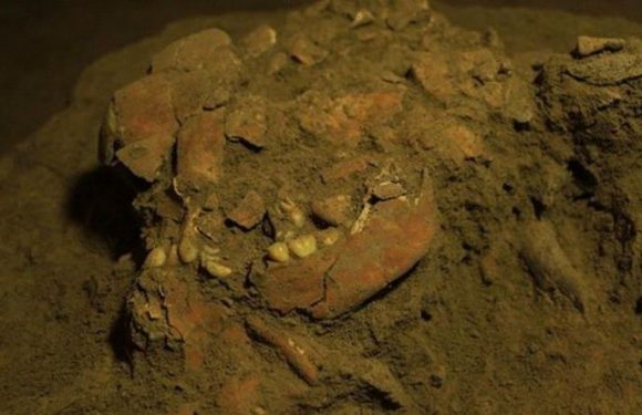 Archaeologists staggered as skeleton DNA uncovers unknown human group