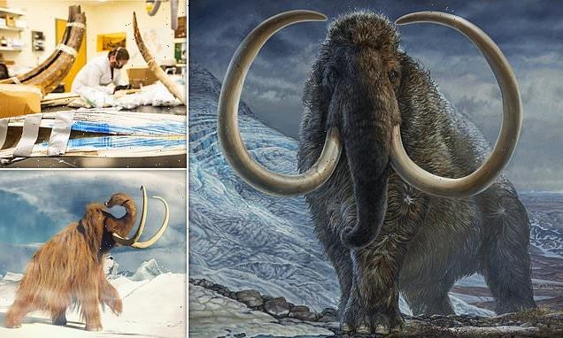 Arctic woolly mammoth covered an area twice the diameter of the Earth