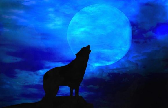 Blue Moon this weekend, time and when to see it