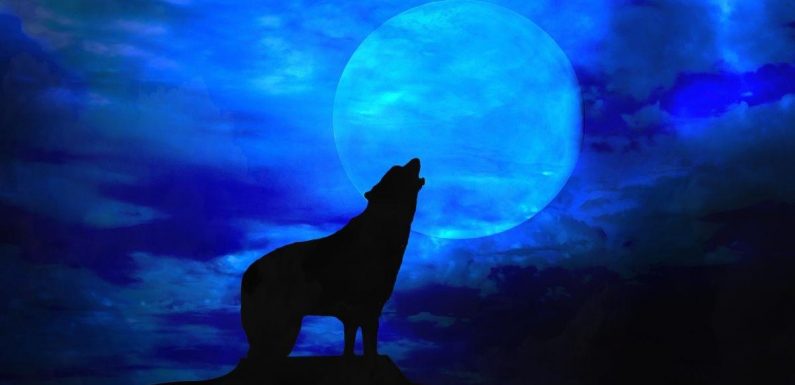 Blue Moon this weekend, time and when to see it