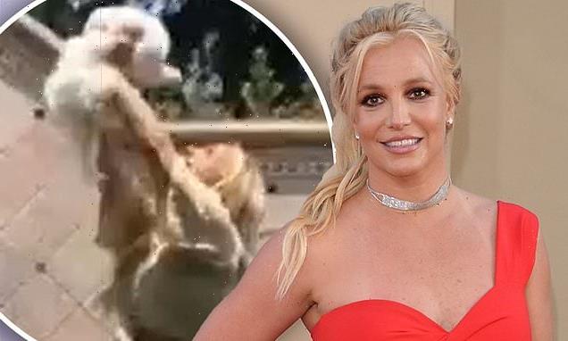 Britney Spears' dogs were NEAR DEATH when staff took them from her