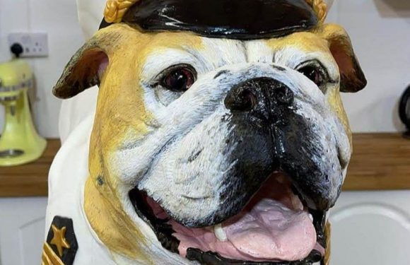 Cake maker creates life-size replica of English bulldog for pet’s birthday