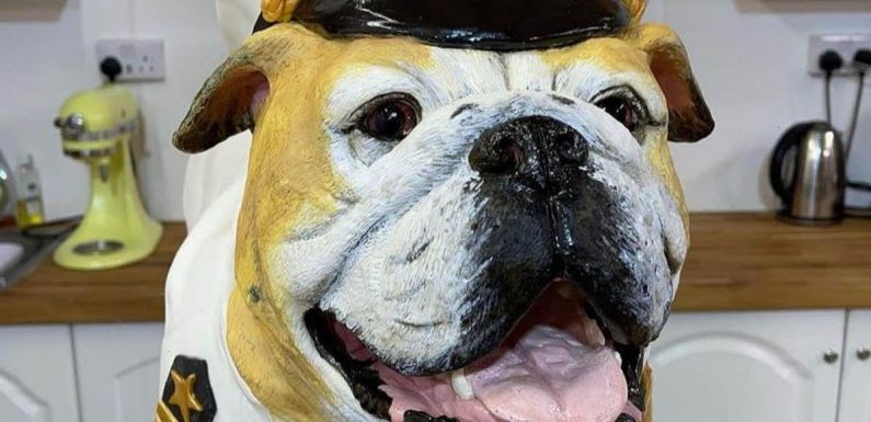 Cake maker creates life-size replica of English bulldog for pet’s birthday