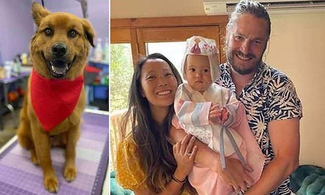 Couple, their baby and dog found dead in remote California hiking area