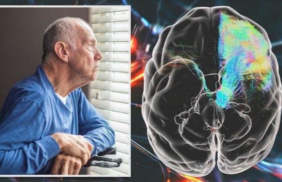 End of Parkinson’s? Cutting-edge 3D scans of monkey brains offer hope of fighting disease
