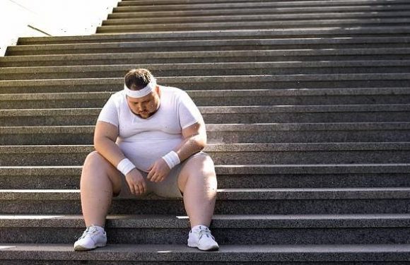 Exercise reduces calories burned at rest for people with obesity