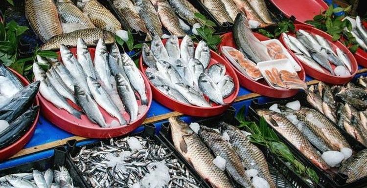 Fish doomsday: Anchovies, herring and pilchard face extinction – dire warning issued