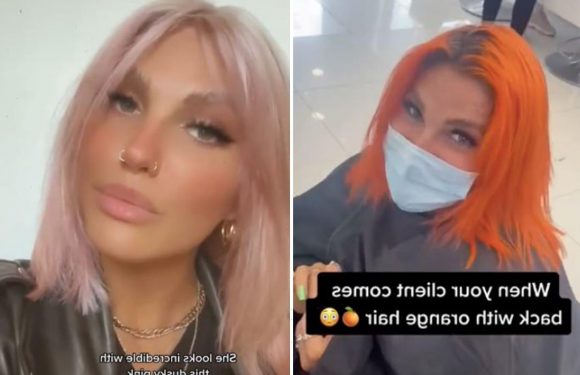 Hairdresser rescues woman’s hair after horror dye job – and the results are amazing