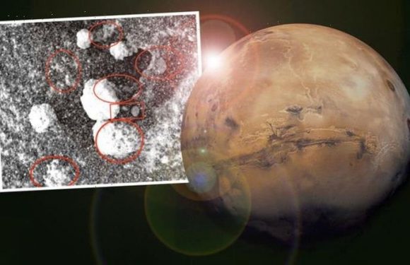 Life on Mars: ‘Worms’ and ‘shrimps’ spotted in scientist’s bizarre study of Red Planet