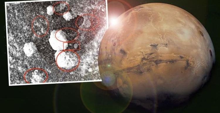 Life on Mars: ‘Worms’ and ‘shrimps’ spotted in scientist’s bizarre study of Red Planet
