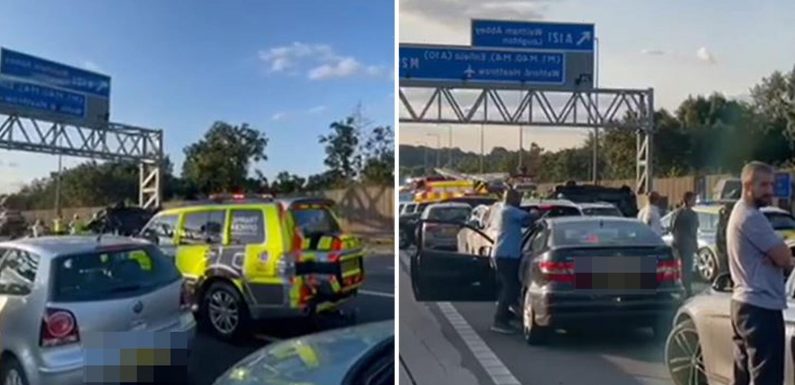 M25 crash – Three killed and one fighting for life after lorry, minibus and car pile-up as two arrested