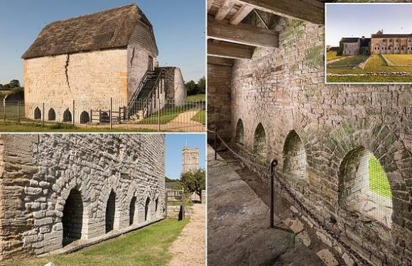 Muchelney Abbey had to build a toilet block after monks got diarrhoea