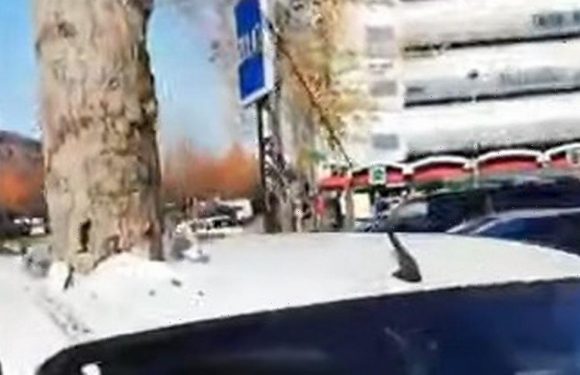 Mystery as giant tree ‘teleports’ through roof of parked car baffling locals
