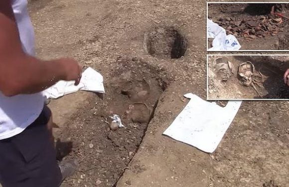 Neolithic cemetery used 6,000 years ago is unearthed in Transylvania