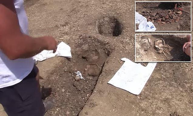 Neolithic cemetery used 6,000 years ago is unearthed in Transylvania