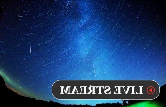 Perseid meteor shower LIVE stream: Watch tantalising shooting star light up sky now
