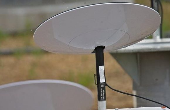 'Pesky PIGEONS' are causing Starlink customers to lose connection