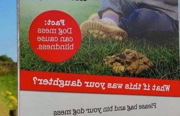 Reddit users slam parents who let child pose for poster of them eating dog poo